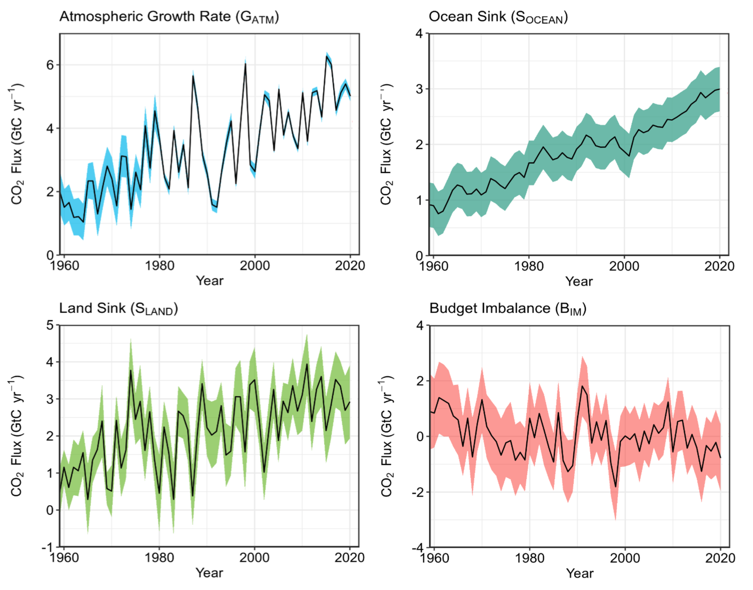 All carbon cycle fluxes