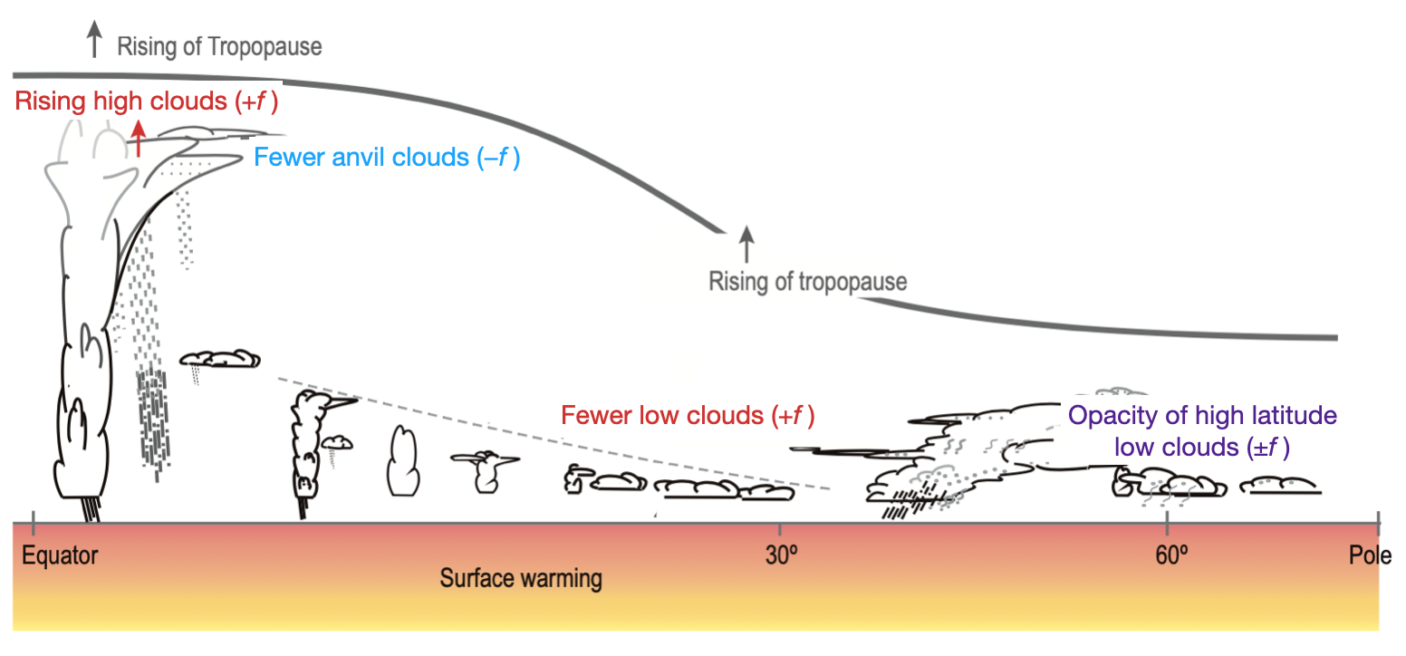 Cloud feedbacks