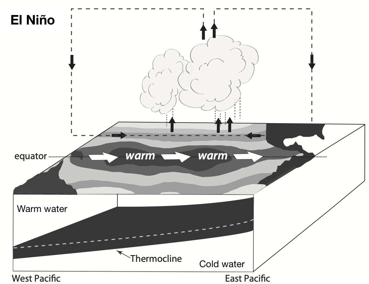 El Nino conditions