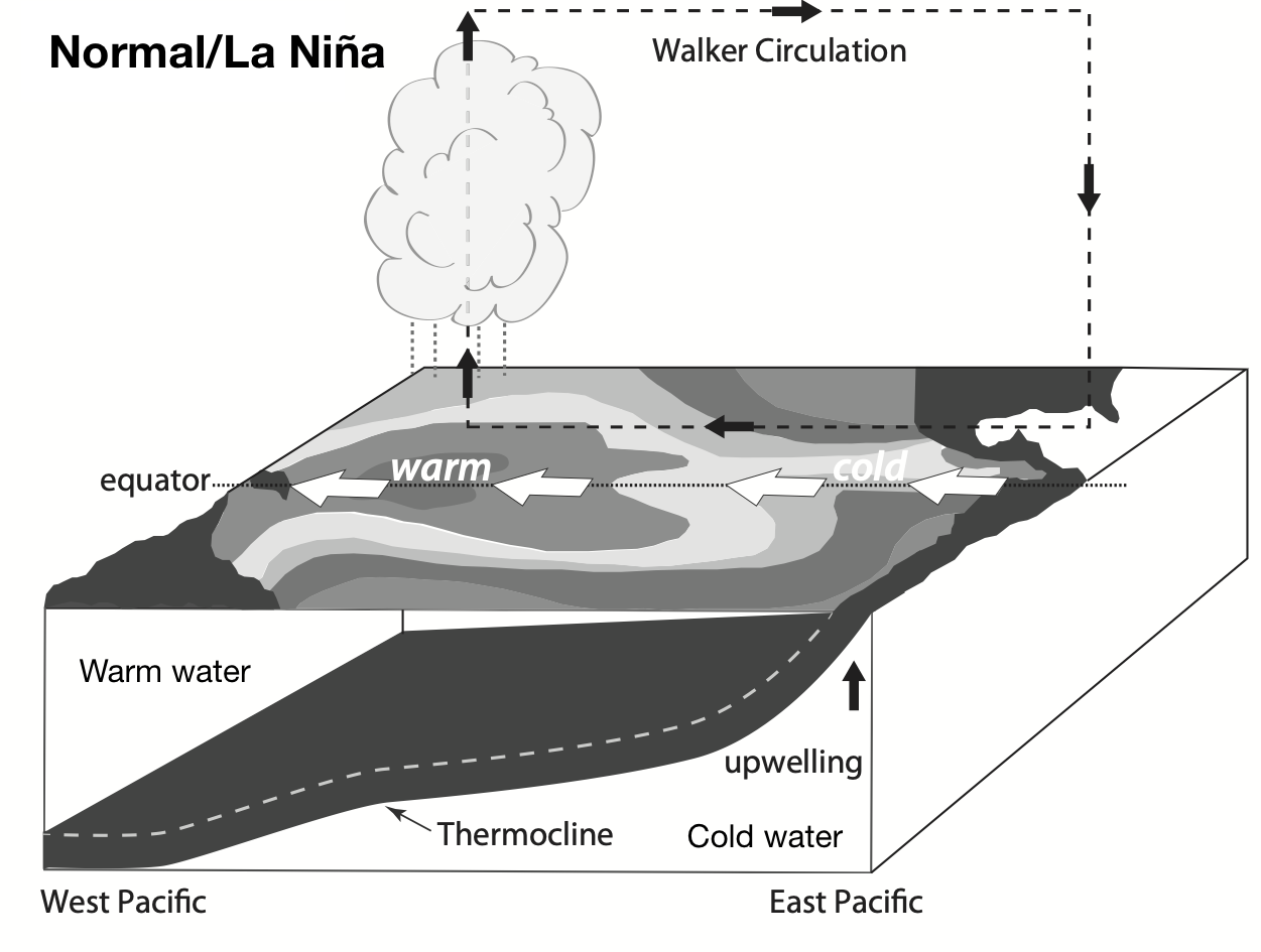 Normal/La Nina conditions