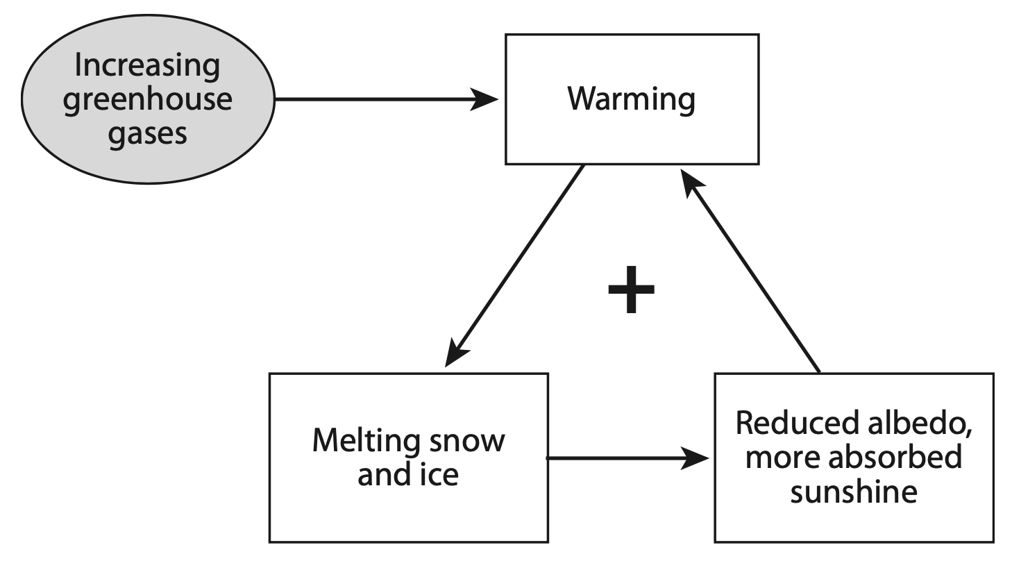 Ice Albedo Feedback