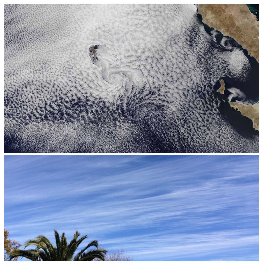 Stratocumulus and cirrus clouds